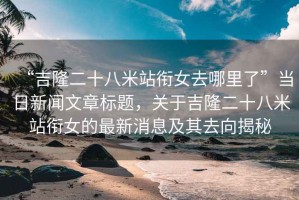“吉隆二十八米站銜女去哪里了”當日新聞文章標題，關(guān)于吉隆二十八米站銜女的最新消息及其去向揭秘