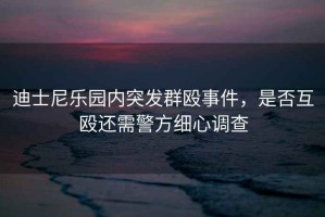 迪士尼樂園內(nèi)突發(fā)群毆事件，是否互毆還需警方細心調(diào)查