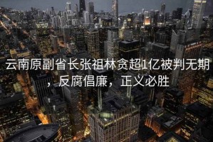 云南原副省長張祖林貪超1億被判無期，反腐倡廉，正義必勝