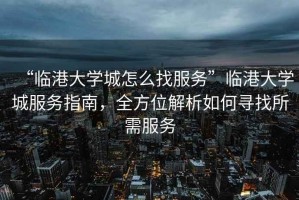 “臨港大學(xué)城怎么找服務(wù)”臨港大學(xué)城服務(wù)指南，全方位解析如何尋找所需服務(wù)