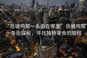 “岳塘雞窩一條街在哪里”岳塘雞窩一條街探秘，尋找獨特美食的旅程