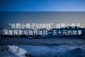 “合肥小巷子50塊錢”合肥小巷子，深度探索與獨(dú)特體驗(yàn)—五十元的故事