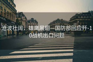 滄波壯闊，雄鷹展翅—國防部回應殲-10戰(zhàn)機出口問題
