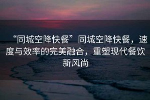 “同城空降快餐”同城空降快餐，速度與效率的完美融合，重塑現(xiàn)代餐飲新風(fēng)尚