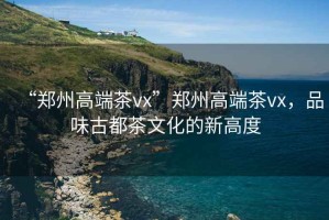 “鄭州高端茶vx”鄭州高端茶vx，品味古都茶文化的新高度