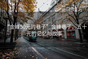 “金峰50元的巷子”金峰巷子，五十元的記憶與故事