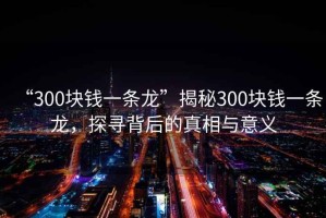 “300塊錢一條龍”揭秘300塊錢一條龍，探尋背后的真相與意義