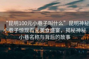 “昆明100元小巷子叫什么”昆明神秘小巷子驚現(xiàn)百元美食盛宴，揭秘神秘小巷名稱與背后的故事