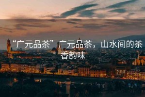 “廣元品茶”廣元品茶，山水間的茶香韻味