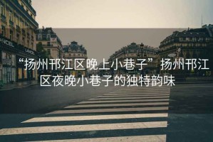 “揚州邗江區(qū)晚上小巷子”揚州邗江區(qū)夜晚小巷子的獨特韻味