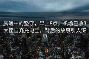 晨曦中的堅(jiān)守，早上8點(diǎn)，機(jī)場(chǎng)已收3大筐自棄充電寶，背后的故事引人深思