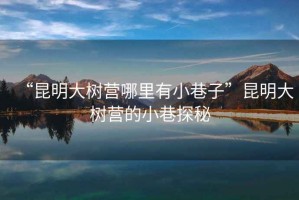 “昆明大樹(shù)營(yíng)哪里有小巷子”昆明大樹(shù)營(yíng)的小巷探秘