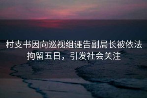 村支書因向巡視組誣告副局長被依法拘留五日，引發(fā)社會關注