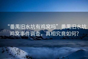“番禺舊水坑有雞窩嗎”番禺舊水坑雞窩事件調(diào)查，真相究竟如何？