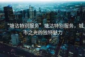 “塘沽特別服務(wù)”塘沽特別服務(wù)，城市之光的獨特魅力