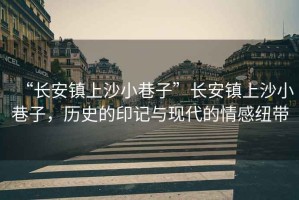 “長安鎮(zhèn)上沙小巷子”長安鎮(zhèn)上沙小巷子，歷史的印記與現(xiàn)代的情感紐帶