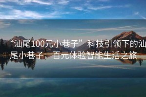 “汕尾100元小巷子”科技引領(lǐng)下的汕尾小巷子，百元體驗(yàn)智能生活之旅
