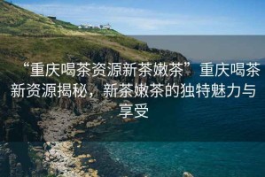 “重慶喝茶資源新茶嫩茶”重慶喝茶新資源揭秘，新茶嫩茶的獨(dú)特魅力與享受