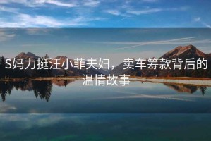 S媽力挺汪小菲夫婦，賣車籌款背后的溫情故事