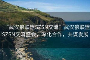 “武漢狼聯(lián)盟SZSN交流”武漢狼聯(lián)盟SZSN交流盛會，深化合作，共謀發(fā)展