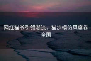 網(wǎng)紅貓爺引領潮流，貓步模仿風席卷全國