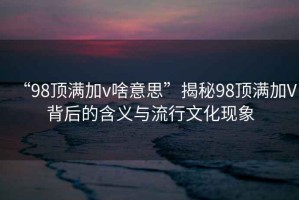 “98頂滿加v啥意思”揭秘98頂滿加V背后的含義與流行文化現(xiàn)象