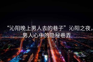 “沁陽(yáng)晚上男人去的巷子”沁陽(yáng)之夜，男人心中的隱秘巷弄