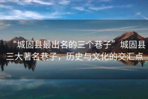 “城固縣最出名的三個(gè)巷子”城固縣三大著名巷子，歷史與文化的交匯點(diǎn)