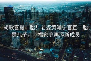 胡歌喜提二胎！老婆黃曦寧官宣二胎是兒子，幸福家庭再添新成員