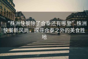 “株洲快餐除了合泰還有哪里”株洲快餐新風尚，探尋合泰之外的美食勝地