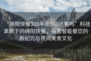 “綿陽快餐300半夜500還有嗎”科技革新下的綿陽快餐，探索智能餐飲的新紀元與夜間美食文化