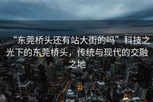 “東莞橋頭還有站大街的嗎”科技之光下的東莞橋頭，傳統(tǒng)與現(xiàn)代的交融之地