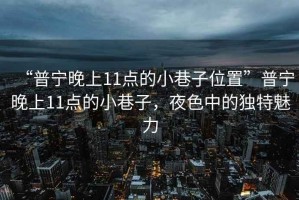 “普寧晚上11點(diǎn)的小巷子位置”普寧晚上11點(diǎn)的小巷子，夜色中的獨(dú)特魅力