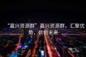 “嘉興資源群”嘉興資源群，匯聚優(yōu)勢，共創(chuàng)未來