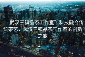 “武漢三鎮(zhèn)品茶工作室”科技融合傳統(tǒng)茶藝，武漢三鎮(zhèn)品茶工作室的創(chuàng)新之旅