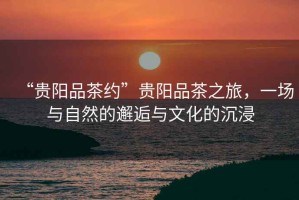 “貴陽(yáng)品茶約”貴陽(yáng)品茶之旅，一場(chǎng)與自然的邂逅與文化的沉浸