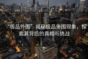 “極品外圍”揭秘極品外圍現(xiàn)象，探索其背后的真相與挑戰(zhàn)