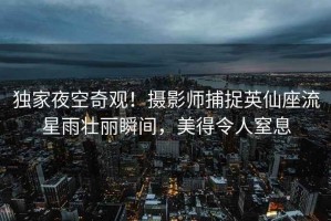獨(dú)家夜空奇觀！攝影師捕捉英仙座流星雨壯麗瞬間，美得令人窒息