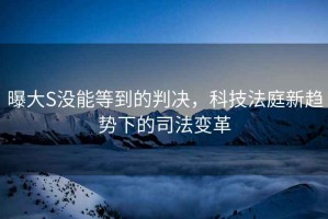 曝大S沒能等到的判決，科技法庭新趨勢(shì)下的司法變革