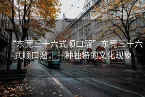 “東莞三十六式順口溜”東莞三十六式順口溜，一種獨(dú)特的文化現(xiàn)象