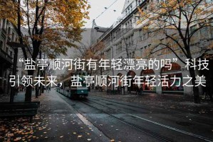 “鹽亭順河街有年輕漂亮的嗎”科技引領(lǐng)未來，鹽亭順河街年輕活力之美