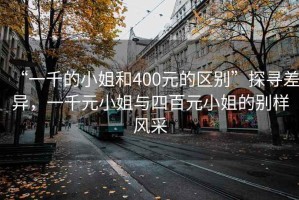 “一千的小姐和400元的區(qū)別”探尋差異，一千元小姐與四百元小姐的別樣風(fēng)采