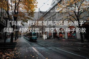 “鳳凰一村對面是雞店還是小巷子”鳳凰一村的對面，雞店與小巷子的故事