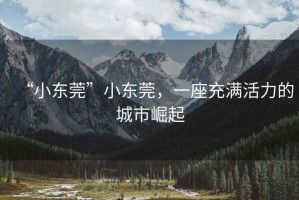 “小東莞”小東莞，一座充滿活力的城市崛起