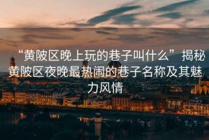 “黃陂區(qū)晚上玩的巷子叫什么”揭秘黃陂區(qū)夜晚最熱鬧的巷子名稱及其魅力風(fēng)情