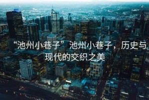 “池州小巷子”池州小巷子，歷史與現(xiàn)代的交織之美
