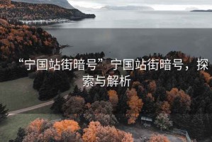 “寧國站街暗號”寧國站街暗號，探索與解析
