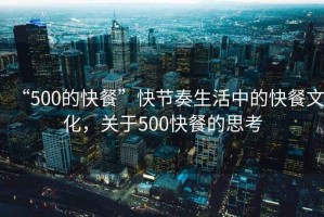 “500的快餐”快節(jié)奏生活中的快餐文化，關(guān)于500快餐的思考