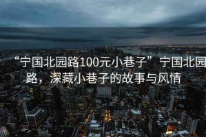 “寧國北園路100元小巷子”寧國北園路，深藏小巷子的故事與風情