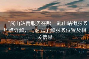 “武山站街服務(wù)在哪”武山站街服務(wù)地點詳解，一站式了解服務(wù)位置及相關(guān)信息
